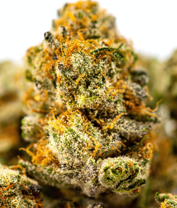 top finest cannabis flowers